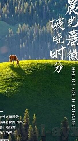 悉尼对阵墨尔本足球比分-悉尼与墨尔本，绿茵场上的宿敌对决与比分背后的故事