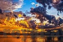 新浪 世界杯上的父子-新浪世界杯，父子间的传承与共鸣
